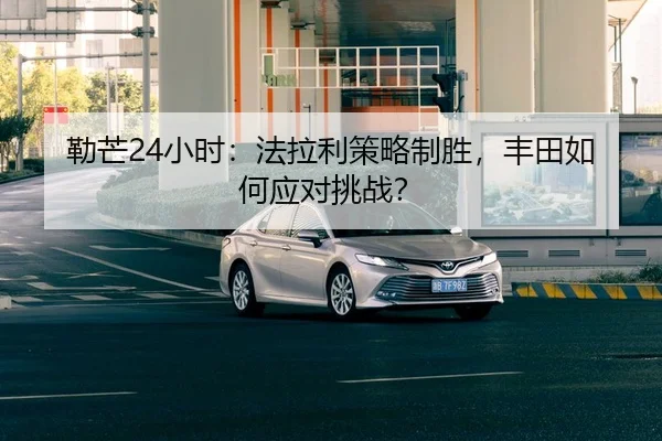 lei-mang-xiao-shi-fa-la-li-ce-lve-zhi-sheng-feng-tian-ru-he-ying-dui-tiao-zhan-2-392.jpg