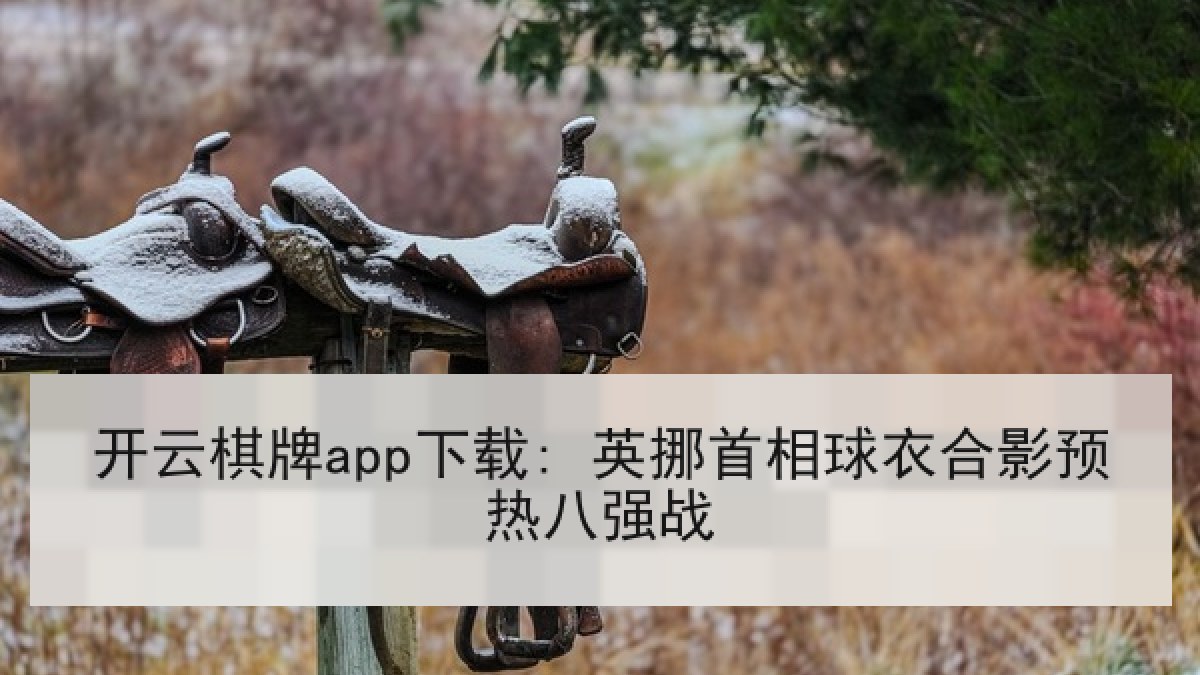 开云棋牌app下载: 英挪首相球衣合影预热八强战
