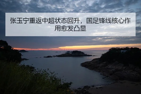 张玉宁重返中超状态回升，国足锋线核心作用愈发凸显