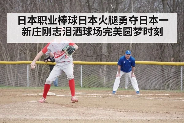 日本职业棒球日本火腿勇夺日本一 新庄刚志泪洒球场完美圆梦时刻